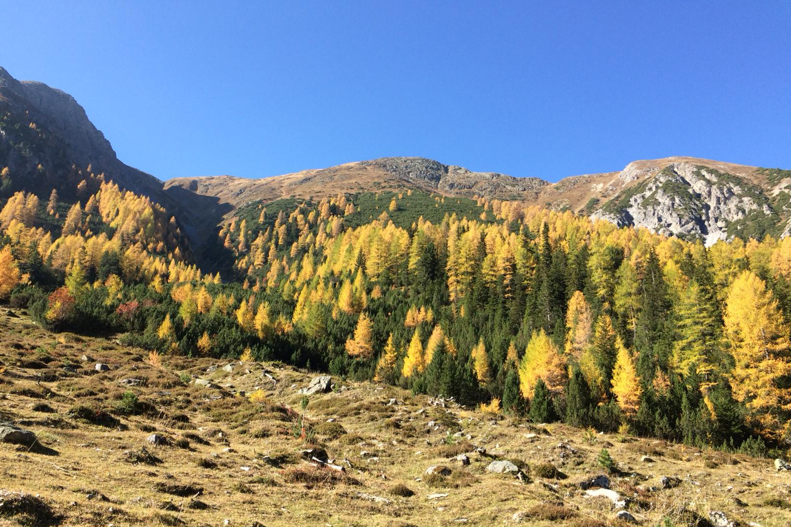 IMG-20181017-WA0006.jpg
